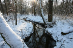 Staverdense beek in de winter